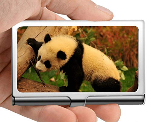 Tarjeta de visita, juego Animal panda Tarjeta de visita Tarjeta de visita (acero inoxidable)