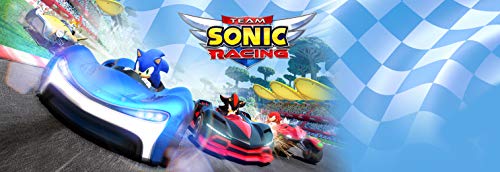 Team Sonic Racing - Nintendo Switch [Importación inglesa]