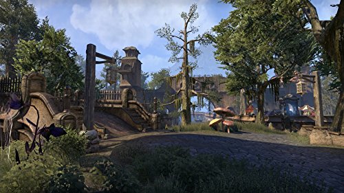 Teso Morrowind Ce Eex Xone [Importación francesa]