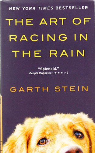 The Art of Racing in the Rain