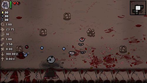 The Binding Of Isaac - Afterbirth