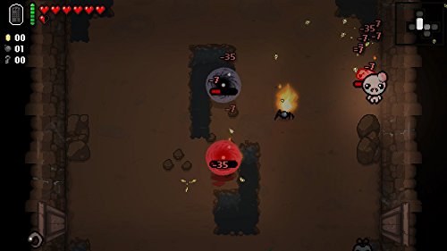 The Binding Of Isaac - Afterbirth