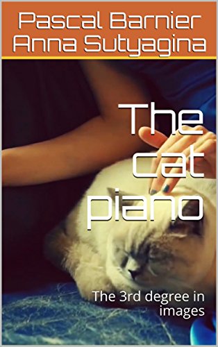 The cat piano: The 3rd degree in images (The key to creativity Book 1) (English Edition)