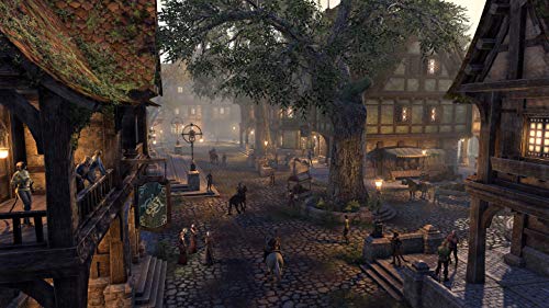 The Elder Scrolls Online Collection: Blackwood - PlayStation 4 | kostenloses Upgrade auf PS5| ESO: Console Enhanced [Importación alemana]