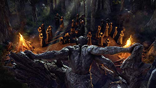 The Elder Scrolls Online Collection: Blackwood - PlayStation 4 | kostenloses Upgrade auf PS5| ESO: Console Enhanced [Importación alemana]