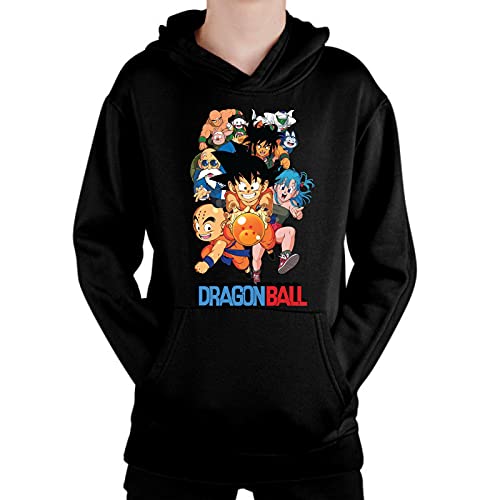 the Fan Tee Sudadera de NIÑOS Dragon Ball Bola de Dragon Goku Vegeta Super 195 5-6 Años