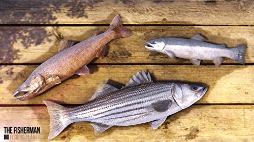 The Fisherman: Fishing Planet for PlayStation 4 [USA]