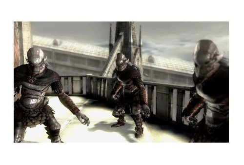 The Last Story [Importación francesa]