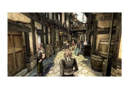 The Last Story [Importación francesa]