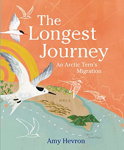 The Longest Journey: An Arctic Tern's Migration (English Edition)