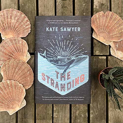 The Stranding: SHORTLISTED FOR THE COSTA FIRST NOVEL AWARD