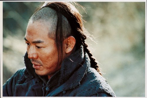 The Warlords (Director's Cut, 2 Discs) [Alemania] [DVD]