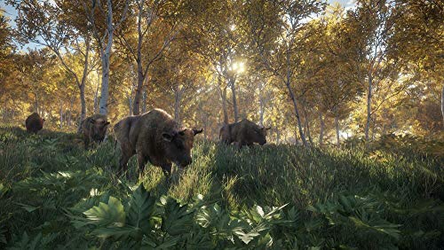 Thehunter: Call Of The Wild - 2019 Edition - Juego Year Edition
