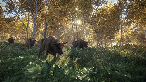 TheHunter: Call Of The Wild