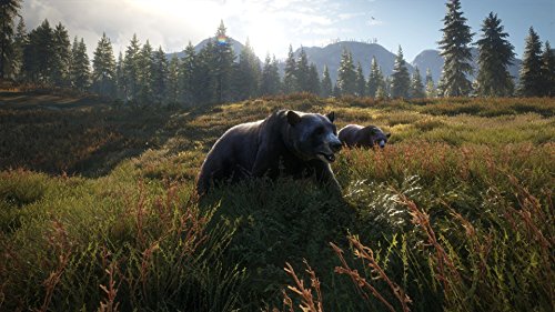 theHunter: Call of the Wild - Xbox One [Importación alemana]