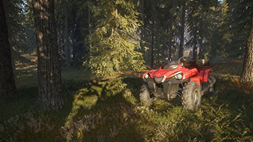 theHunter: Call of the Wild - Xbox One [Importación alemana]
