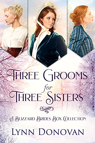 Three Grooms for Three Sisters: a Blizzard Bride Box Collection (English Edition)