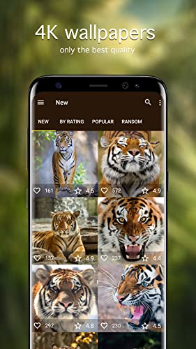 Tiger Wallpapers 4K & HD Backgrounds apps