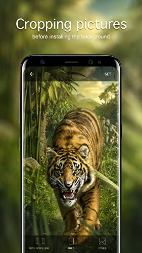 Tiger Wallpapers 4K & HD Backgrounds apps