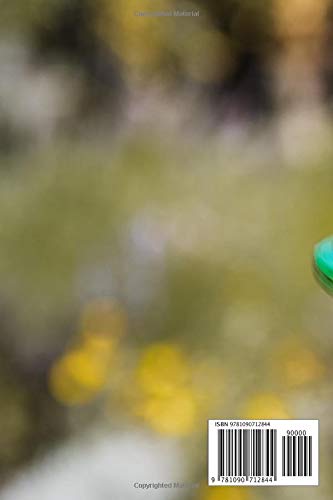 Time To Play: Motivational Copybook, Fidget Spinner, Notebook, Spinner's book, Diary & Daily Planner, Project (110 Pages, Blank, 6 x 9)