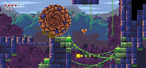 Tiny Barbarian DX - Launch Edition [Importación USA]