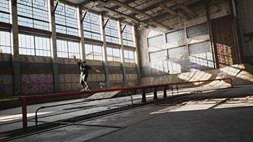 Tony Hawk's Pro Skater 1+2 - PlayStation 4 [Importación francesa]
