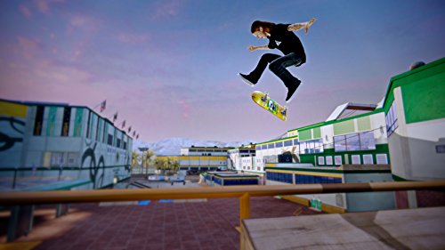 Tony Hawk's Pro Skater 5 [Importación alemana]