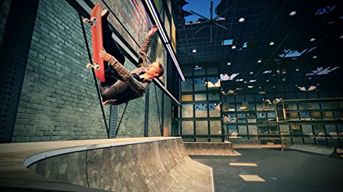 Tony Hawk's Pro Skater 5 [Importación alemana]