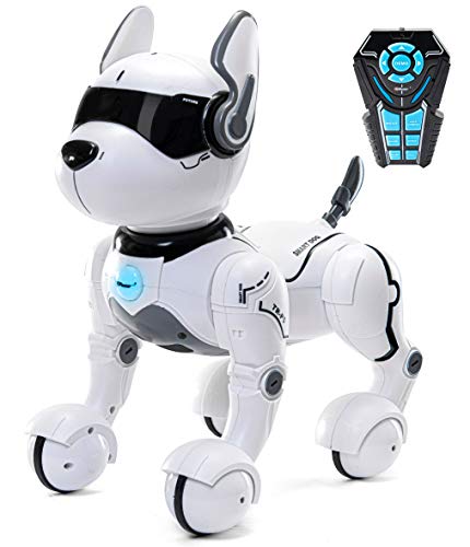 Top Race Juguete para Perros con Control Remoto, Robots para niños, Juguetes Robot RC para niños de 2,3,4,5 años en adelante, Animales de imitación, Mini Animal - el Perro Solo Habla inglés