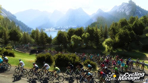 Tour De France 2016 [Importación Alemana]