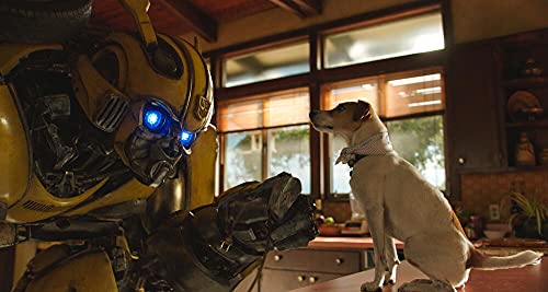 Transformers - L'intégrale 5 films + Bumblebee [Francia] [Blu-ray]