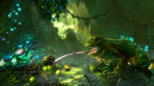 Trine 2 [Importación alemana]