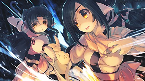 Utawarerumono Mask of Truth - PlayStation 4 [Importación alemana]
