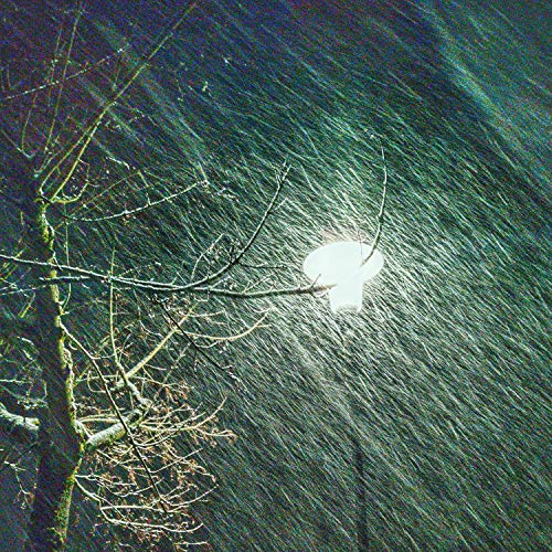 Valiant Heart [Explicit]