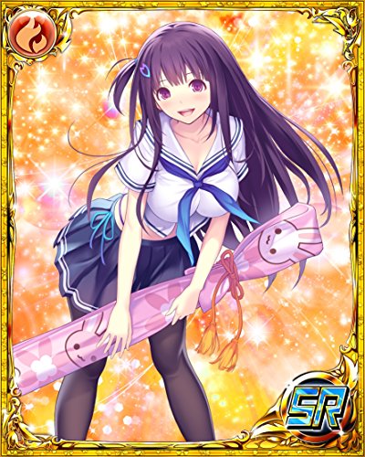 Valkyrie Drive: Bhikkhuni Nyuu Nyuu DX Pack [Importación JP]