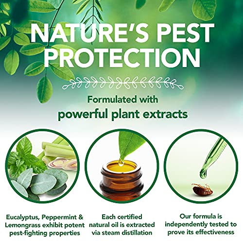 Vet's Best - Espray antiparasitario para el hogar (pulgas, garrapatas y ácaros)