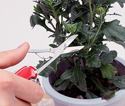 Victorinox Navaja de Oficial Climber, color Azul Transparente