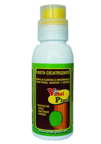 Vital Plant Pasta cicatrizante para Cura de podas y heridas, Ninguno