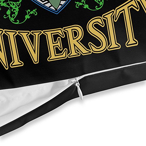 VOID University of Hyrule Cojín con Dibujo Funda de cojín Funda para Outdoor Indoor Link, Kissen Größe:80 x 80 cm