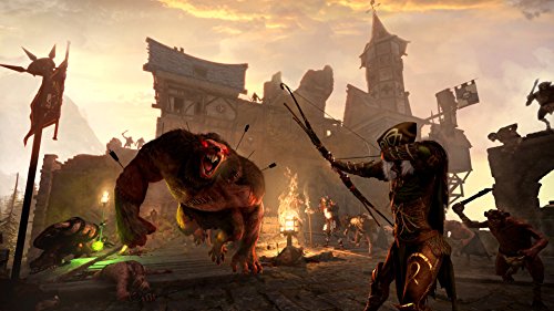 Warhammer: End Times - Vermintide [Importación Inglesa]