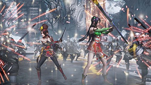 Warriors Orochi 4 - PlayStation 4 [Importación alemana]