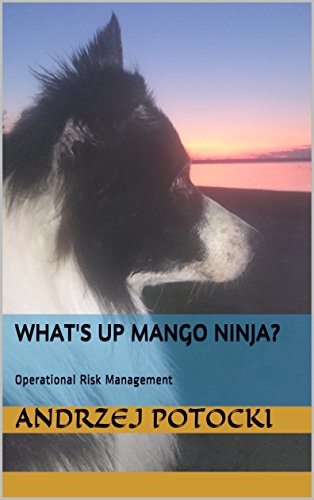 What's up Mango Ninja?: Operational Risk Management (English Edition)