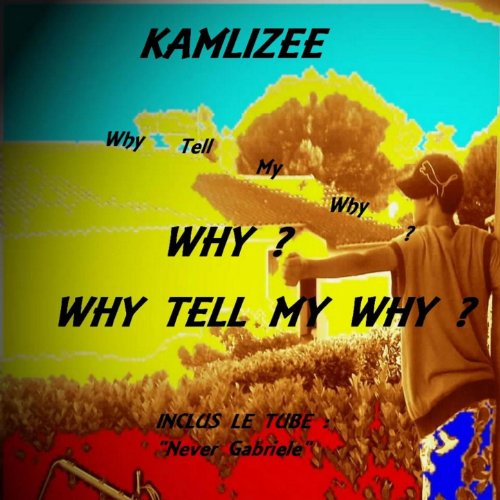 Why Tell My Why ?