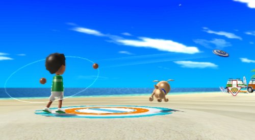 Wii Sports Resort + Wii MotionPlus [Importación francesa]