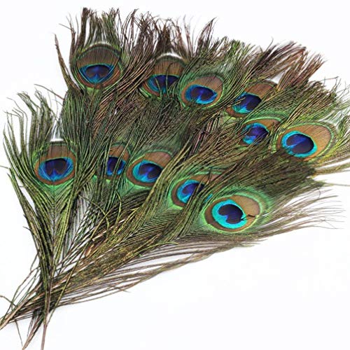WINOMO - 100 plumas de pavo real, 25 – 30 cm, plumas de pavo real, plumas para ojos, artesanía, decoración, arte, vestido, sombrero, boda, fiesta, disfraz