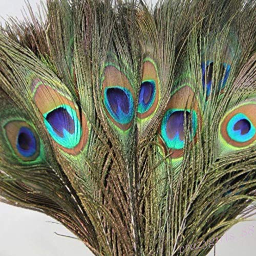 WINOMO - 100 plumas de pavo real, 25 – 30 cm, plumas de pavo real, plumas para ojos, artesanía, decoración, arte, vestido, sombrero, boda, fiesta, disfraz
