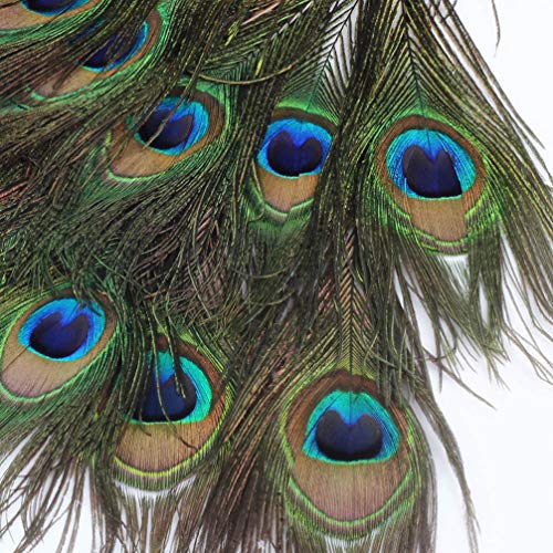 WINOMO - 100 plumas de pavo real, 25 – 30 cm, plumas de pavo real, plumas para ojos, artesanía, decoración, arte, vestido, sombrero, boda, fiesta, disfraz