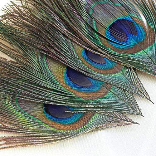 WINOMO - 100 plumas de pavo real, 25 – 30 cm, plumas de pavo real, plumas para ojos, artesanía, decoración, arte, vestido, sombrero, boda, fiesta, disfraz