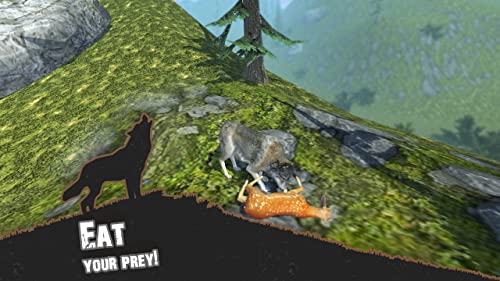 Wolf Simulator Evolution
