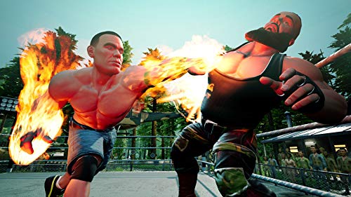 WWE 2K Battlegrounds - PlayStation 4 [Importación alemana]